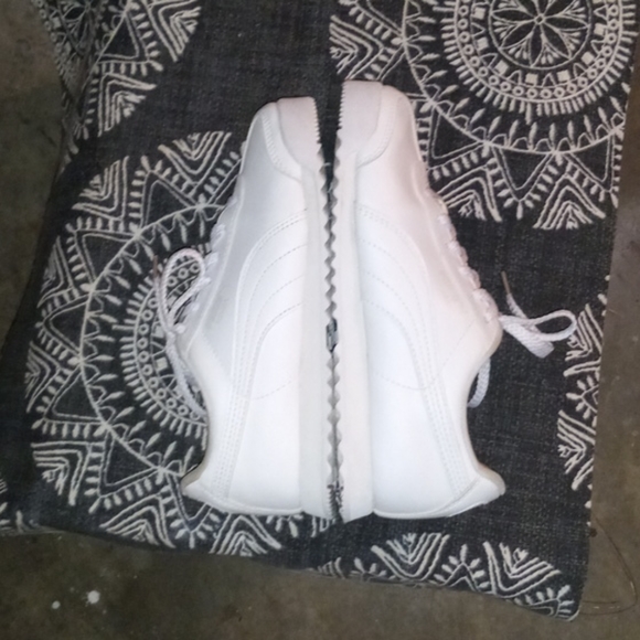 Pumas - Picture 5 of 12